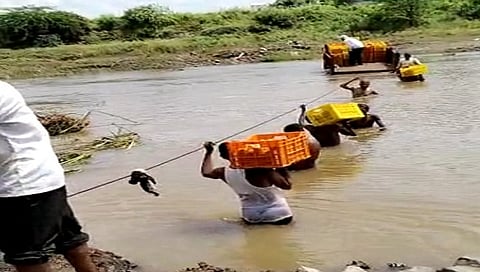 नाशिक : पोटासाठी छातीपर्यंतच्या पाण्यातून शेतकऱ्याची जीवघेणी कसरत(व्हिडीओ)