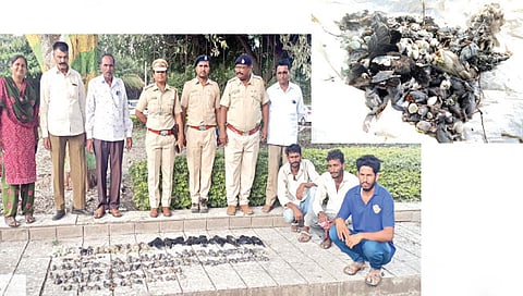 सिन्नर : चिंच झोडणार्‍या कामगारांना ताब्यात घेताना वनविभागाचे अधिकारी.