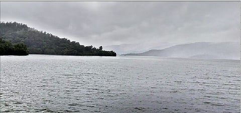 पानशेत खोर्‍यात 50 टक्केच पाऊस