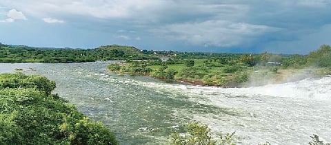 नद्या दुथडी, सरासरी पार.. जोर धारा..!  नगर जिल्ह्यात आणखी तीन दिवस पावसाचेच