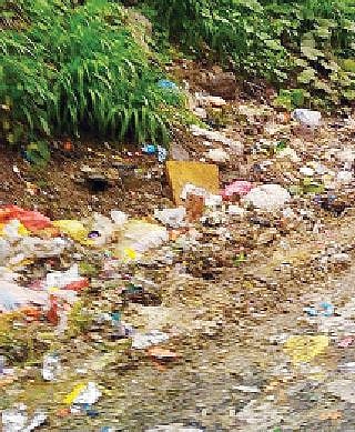 धायरी येथील रस्त्यावर पडलेले कचर्‍याचे ढीग.