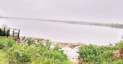 वाकी तलावातील पाणीसाठा. 