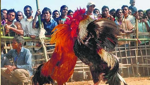 नागपूर