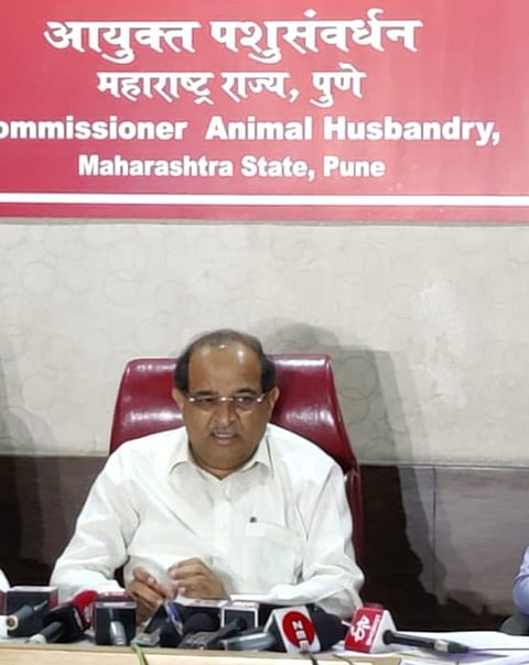 radha krushn vikhe 