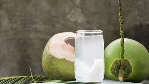 Coconut water : नारळ पाणी नेहमीच फायदेशीर ठरत नाही! जाणून घ्‍या काय आहेत तोटे