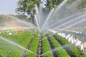 पुणे : 1 लाख 88 हजार हेक्टर क्षेत्र सूक्ष्म सिंचनाखाली येणार; सूक्ष्म सिंचनासाठी 666 कोटींचे अनुदान