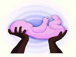 राज्यात सिझेरियन प्रसूतींचे प्रमाण वाढतेय! सरकारी, खासगी रुग्णालयांमधील चित्र
