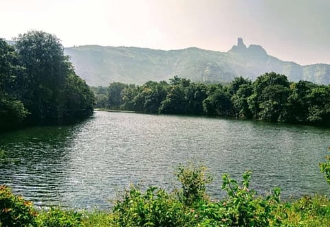 पिंपळनेर : निसर्गसौंदर्याची उधळण www.pudhari.news