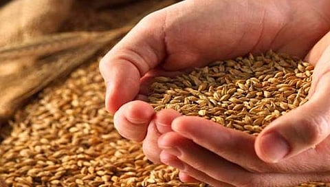 नाशिक : काळ्या बाजारातील दहा लाखांचे रेशनधान्य जप्त; व्यापार्‍यास अटक