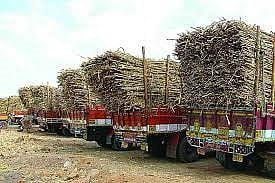 भवानीनगर : ऊस वाहतूकदारांना बसतोय आर्थिक फटका; साखर कारखान्यांचा गाळप हंगाम सुरू नसल्याचा परिणाम