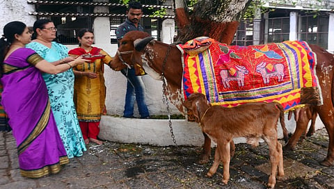 Dipotsav 2022 : नाशिककरांकडून गाय-वासराचे मनोभावे पूजन