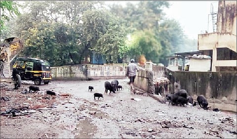 कोथरूड येथे कैलास कॉलनी परिसरात कचर्‍यामुळे पसरलेली अस्वच्छता.