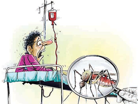 पिंपरी : पावसाळा संपल्यानंतरही डेंग्यूचा डंख कायम