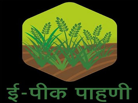 मोबाईल अ‍ॅपद्वारे तत्काळ पीक पाहणी नोंदवा : तहसीलदार पाटील