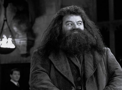 Robbie Coltrane 