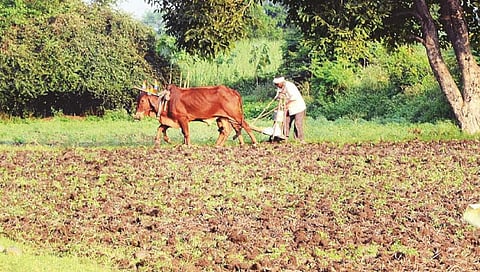 गोपीनाथ मुंडे शेतकरी अपघात विमा योजना : जिल्हयातील 190 शेतकरी कुटुंबियांना आधार