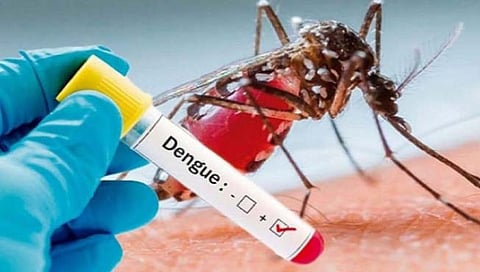 नाशिक शहरात डेंग्यूचा विळखा होतोय घट्ट, रुग्णसंख्या शंभरीपार