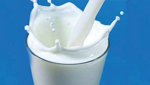 World Milk Day: ‘पोषण आणि उपजीविका’; यंदाच्या ‘दूध दिना’ची थीम