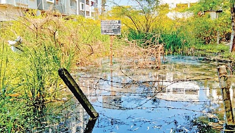सांगली : स्वच्छतेचा बोर्‍या; रोगराईला निमंत्रण