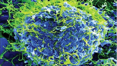 Old Virus Active  