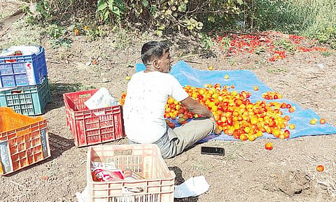 खेड शिवापूर : शिवगंगा खोर्‍यात प्रक्रिया उद्योगांची गरज