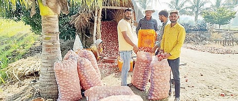 मंचर : शेतकर्‍यांनी बराकीतील कांदा काढला विक्रीसाठी