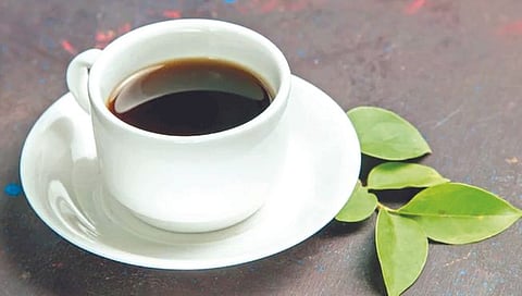 Black Tea and Heart Health : ब्लॅक टीने घटतो हार्ट अ‍ॅटॅकचा धोका