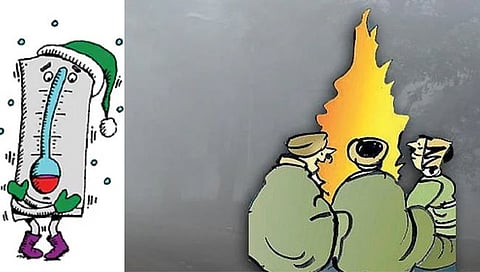 Nashik Niphad : काय आहे ‘थंडा थंडा कूल कूल’ निफाड तालुक्याचे रहस्य?