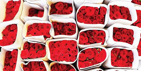पुणे : उन्हाने कोमेजला कटफ्लॉवर ! फुलबाजारात मागणी घटली
