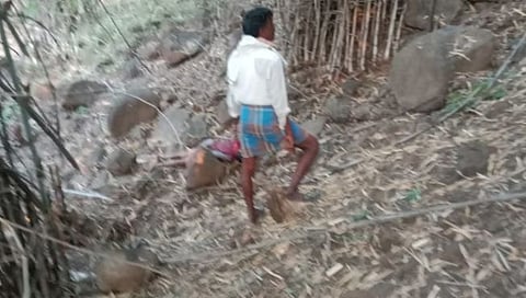 चंद्रपूर : बिबट्याच्या हल्ल्यात ९ वर्षीय मुलगा ठार