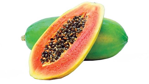 Papaya  