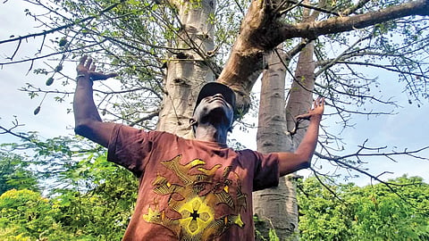 Trees 