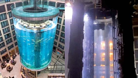 The aquarium burst  