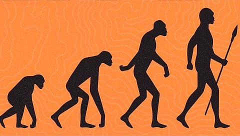 walking on two legs  