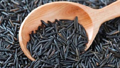 Black Rice  
