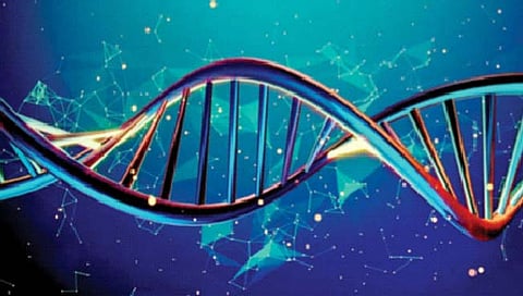 New genes   