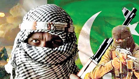 Terrorist Attack : काश्मीरमध्ये गत पाच वर्षात झाले 761 दहशतवादी हल्ले
