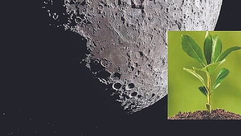 Moon  