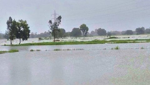 बेळगाव : अधिवेशनात बळ्ळारी नाल्याबाबत ब्रसुद्धा नाही; शेतकर्‍यांचा भ्रमनिरास
