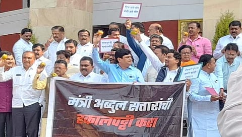 नागपूर अधिवेशन  
