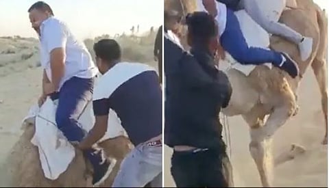 Funny Viral Video : उंटावरील दोन ‘शहाणे’… एकाचवेळी उंटावर बसले आणि पुढे… तुम्‍हीच पाहा (व्‍हिडीओ)