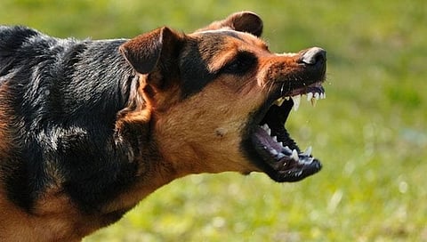 file photo