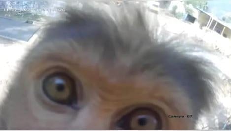 CCTV viral video 