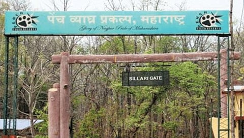 नागपूर: पेंच व्याघ्र प्रकल्पात वाघाची शिकार करणाऱ्या टोळीला अटक