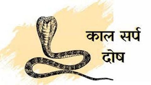 काल सर्प दोष,www.pudhari.news