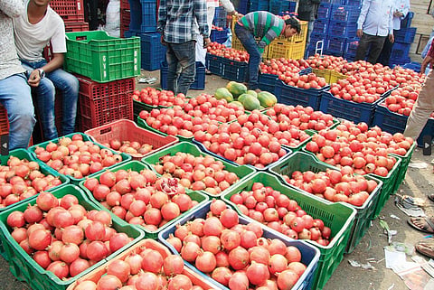 पुणे : डाळींब, पपई, कलिंगड, खरबूज महागले