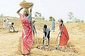 जुन्नर : आदिवासी भागात मजुरांना गावातच काम !