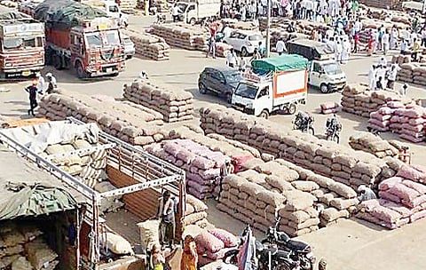 चाकण : आवक वाढूनही कांद्याचे भाव स्थिर