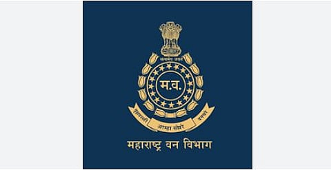 वणवे टाळण्यासाठी जुन्नर वन विभाग दक्ष; वणवे लावणार्‍यांवर होणार कठोर कारवाई