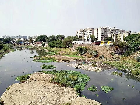 पिंपरी: मैलामिश्रित वाहिनी पवनेच्या मुळावर, पिंपळे गुरवमध्ये नदीला आले गटारगंगेचे स्वरूप
